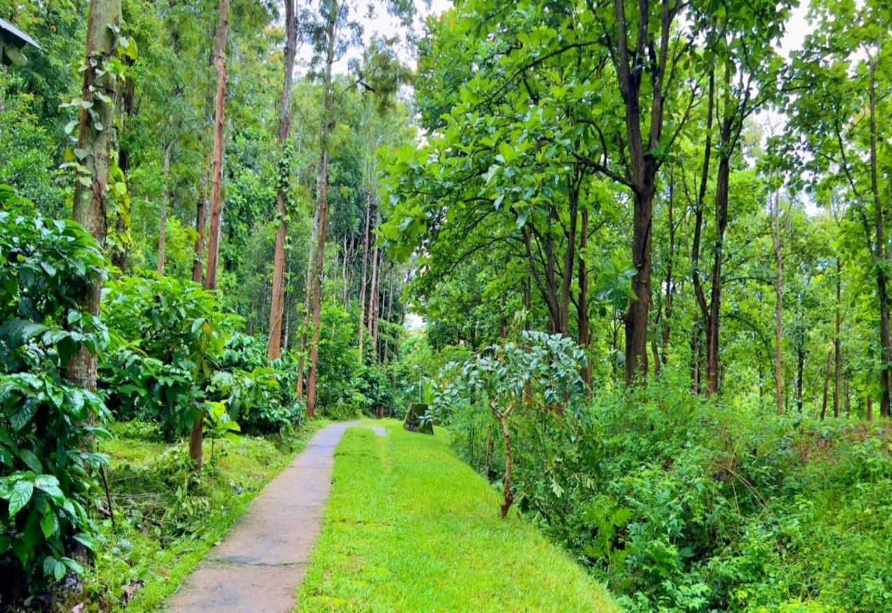 Adrak Mountain Mist Forest Resort Pulpally Kültér fotó
