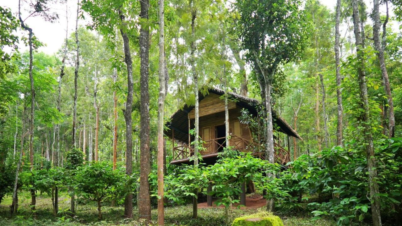 Adrak Mountain Mist Forest Resort Pulpally Kültér fotó