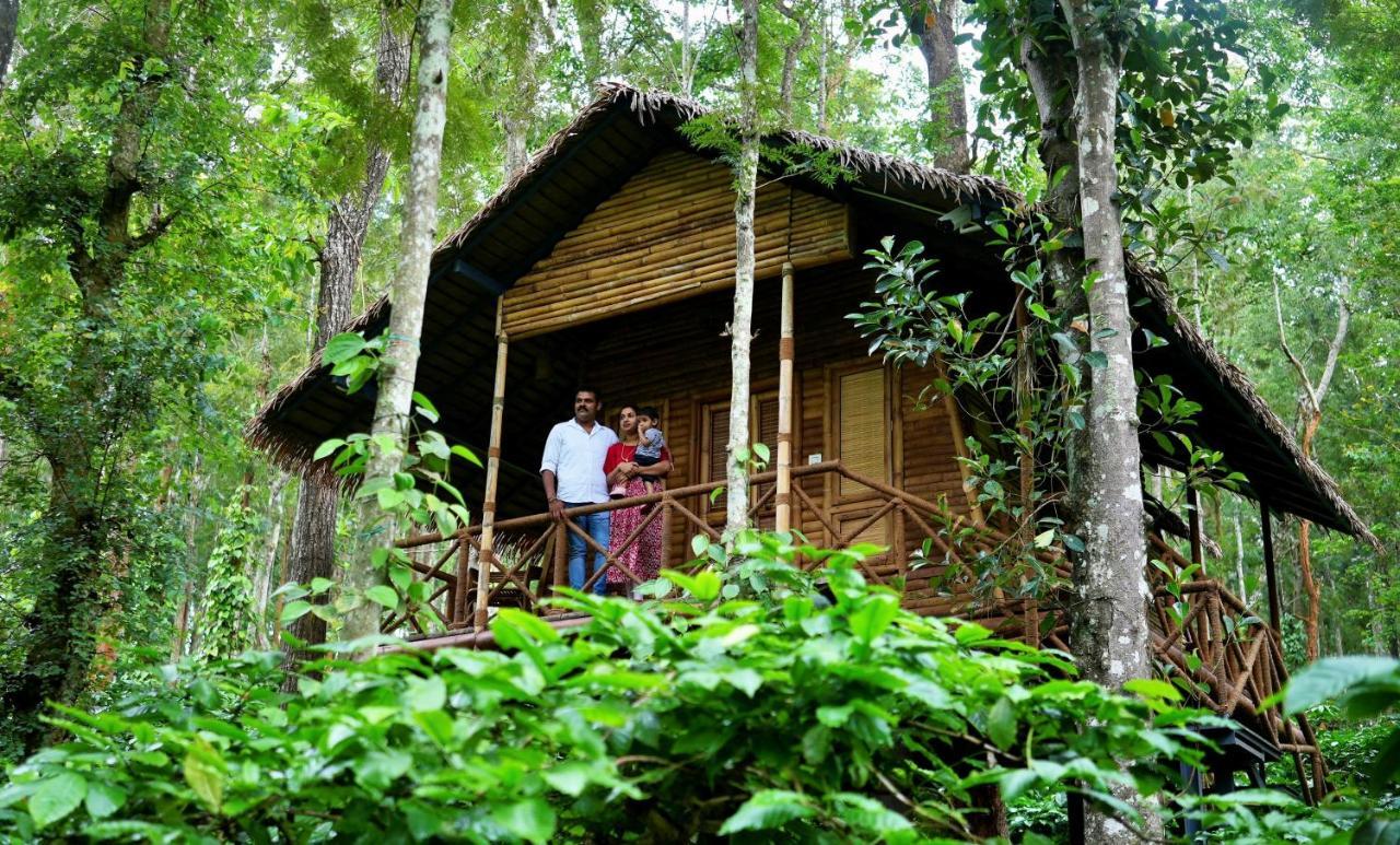 Adrak Mountain Mist Forest Resort Pulpally Kültér fotó